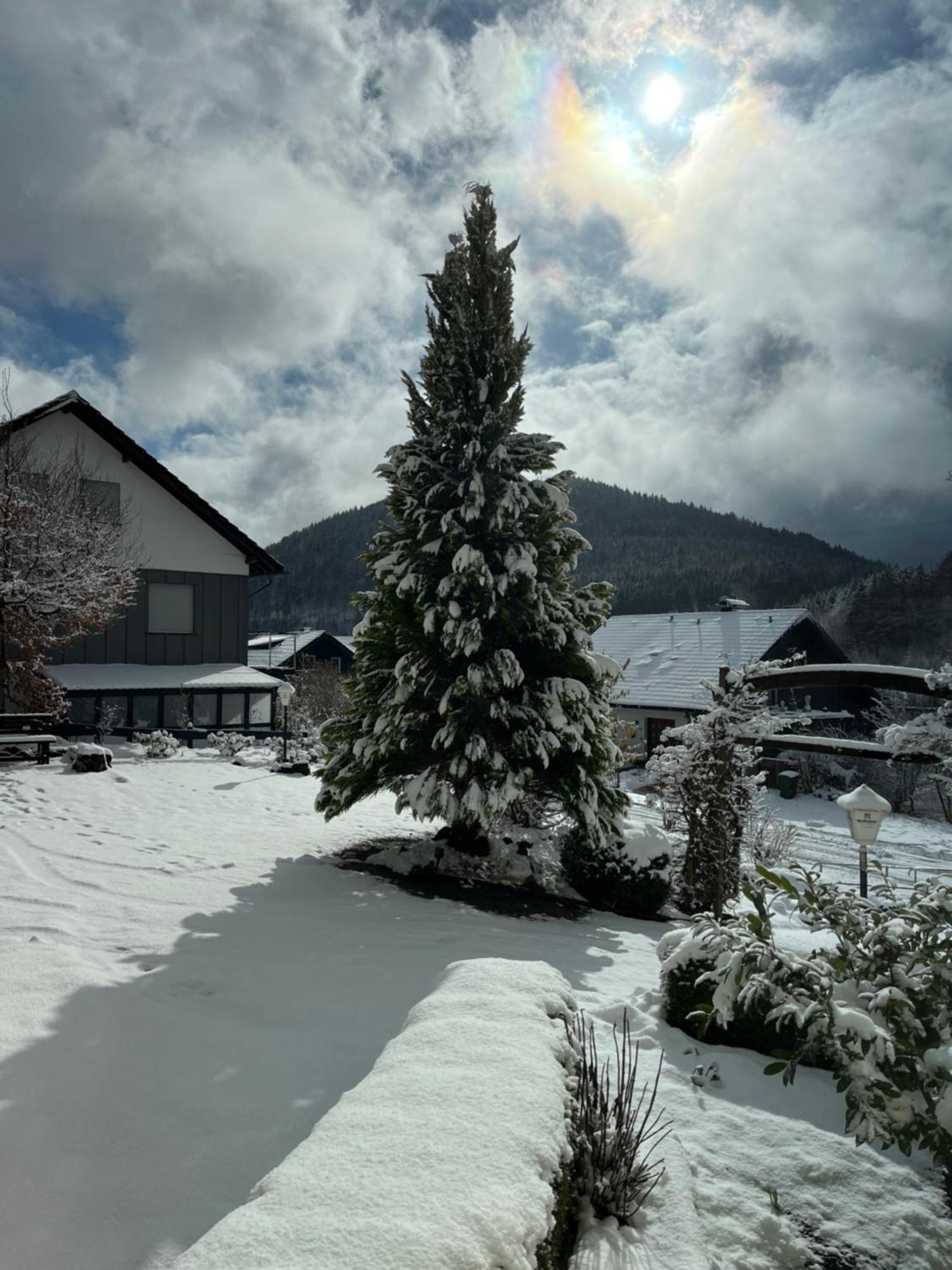 Casa Milix - Bed & Breakfast Winterberg Exterior foto